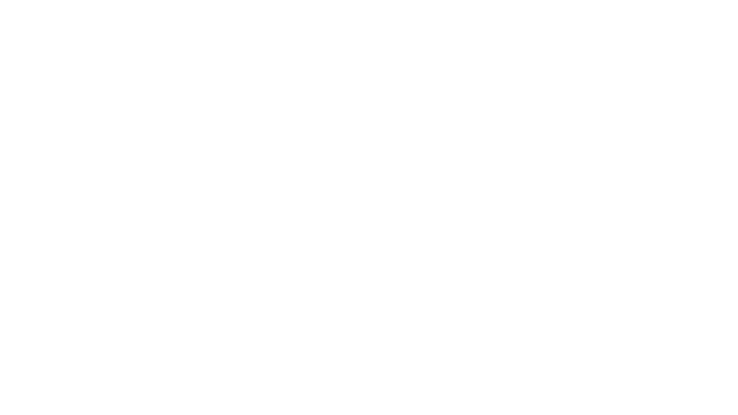 Flam Grill