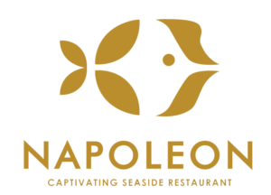 Napoleon Logo